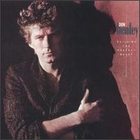 Don Henley: Building the Perfect Beast (1984)