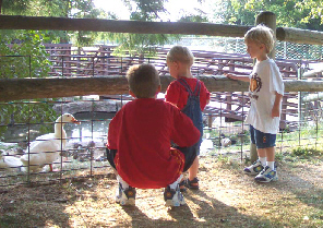 left to right: Dylan Eckenwyler, Evan Whitaker, Austin Eckenwyler